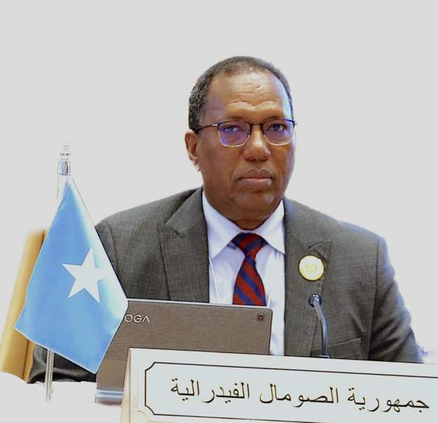 Wasiir Raysal Wasaaraha Somaliya Xilka Ka Qaaday Oo Hadlay.