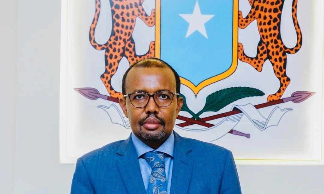 Former Somalia Foreign Minister Says Some Countries May Reconsider Recognition of the Mogadishu Government