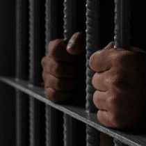 Wasaaradda Gaadiidka Somaliland oo si rasmi ah u bilowday beddelka taarikada gaadiidka, 1,220 basna lagu bilaabay