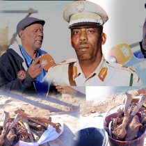 Agaasimaha Guud ee Wasaaradda Horumarinta Khayraadka Biyaha oo la kulmay hay'adda Pharo Foundation