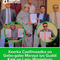 War Degdeg Ah: Golaha Deegaanka Burco Oo Doortay Maayar Iyo Ku Xigeen