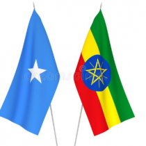 Somalia Holds 'Historic' Regional Elections