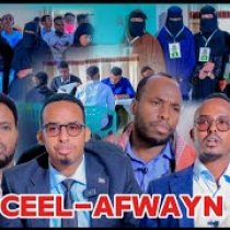 "Ictiraafka aad keentay iyo guushaad Curisay ku ciseynay Madaxweyne" Hal-Abuur Maftuux DAAWO