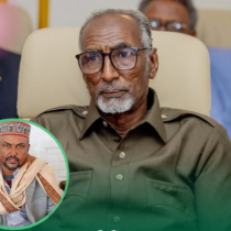 Wasiirka Arrimaha Gudaha Oo Ka Hadlay Soo Laabashada Suldaan Wabar