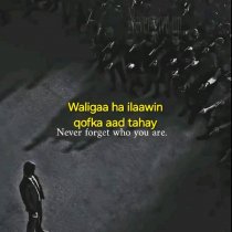 Corruptors Never Go Far But falls In An Empty Handed ( Abdi-Shotaly).