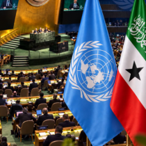 Somaliland Oo New York Si Toos Ah Ugu Soo Bandhigtay Qaddiyaddeeda Aqoonsi