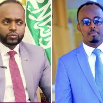 Xisbiga Waddani Oo Ka Hadlay Fadeexad Dulhoganaysa Wasiir Ku Xigeenka Caafimaadka SLAND