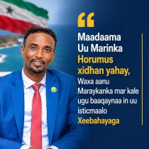 Ted Cruz: "Somaliland Waxay Mareykanka U Soo Bandhigtay Fursad Istiraatiiji ah"