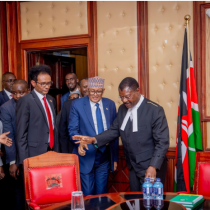 DEG DEG Xildhibaan Ka Tirsan Dowlada Kenya Oo Raali Galin Siiyay Somaliland