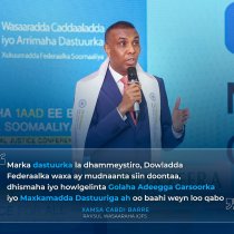 Ra'iisul wasaare Xamza oo xaqiijiyay guul taariikhi ah DAAWO