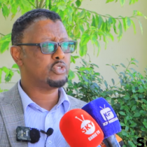 DAAWO: Xukuumada Somaliya Oo Hoos Udhigtay Lacago Ay Siin Jirtey Somaliland & Puntland.