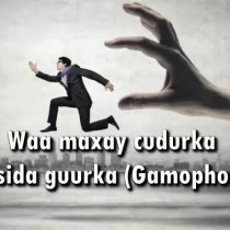 Filashada Badani Ma Noqotay Caqabadda Guurka?