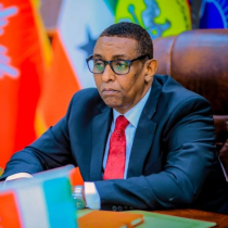 Wasiiru-dawlaha Arrimaha Gudaha Somaliland oo Kulan La Qaatay Masuuliyiin ka Socday IOM