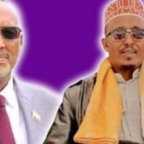 Seven years in office dictator Muse bihi did nothing in somaliland.  Ali Behi