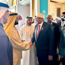 "Xisbi ahaan iyo Xukuumad ahaan Ba Waxaanu la Dareen Nahay Dadkeenna Xidh-xidhan…"