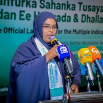 Somaliland: Wasiirka Qorshaynta oo Daahfurtay Sahanka Caalamiga ah ee MICS7