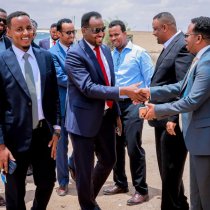 Wasaaradda Xanaannada Xoolaha Somaliland oo qalliin C-Section ah ku badbaadisay neef ri' ah