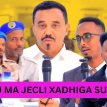 Maxay yihiin dadka shisheeye ah ee Turkigu kala noqday dhalashada? DAAWO