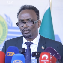 Xildhibaano ka tirsan Golaha Wakiilada Somaliland ayaa magaalada Brussels kula kulmay Xubno ka mid ah Xildhibaanada Midowga Yurub ugu jira Dalka Holland.