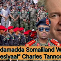 Dagaal Dublamaasiyadeed Oo Mar kale Ka Dhexqarxay SNM iyo Faqash