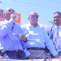 Hororaa Ciyaayo,Hasheenii Irmaanayd,U Soo Haliiilaaya, Hareeraha Ka Joogsadoo, Hoosadeenan Ilaashada.
