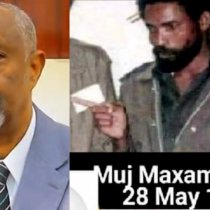 Haldoorki Awdal Oo Dagaalka Saylac War Ka Soo Saaray DAAWO