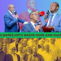 Wasiirka Madaxtooyadda Somaliland oo Golaha Wakiillada Warbixin ka Siiyay Xeerka Kala Xadaynta Xukuumadda