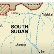 Xukuumadda Somaliland ayaa xoolaha u furtay Seeraha Aroori DAAWO