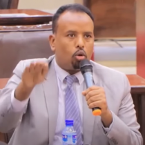 Shirkadaha laydhka waa in xeer xadeeya loo sameyaa si anay bulshada ugu dalacin qiimo sare DAAWO