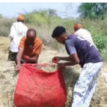 DAAWO: "Talada Muuse Biixi ku sii jabayo waxa siiya Siciid Sulub,Cali Waran..."