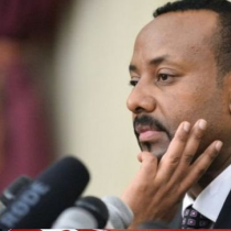 Raysal Wasaaraha Itoobiya Oo Sheegay In Dalkiisa Faragelin Lagu Hayo