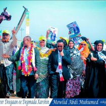 Murashax Mawliid Cabdi Sabaal Oo Si Weyn Loogu Soo Dhaweeyay Magaalada Xarshin