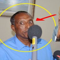 DAAWO: "Muuse Biixi Cid Wax Usheegta Ma Ogola, Coldoona ..." Aqoonyahan