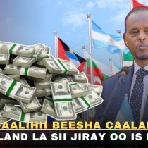 Faa'iidooyinka cajiibka ah ee toonta iyo geedka cadaygu u leeyihin caafimaadka DAAWO