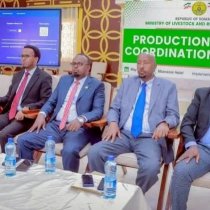 Somalia oo Xabsi Ka Dhisaysa Duleedka Laascaanood,