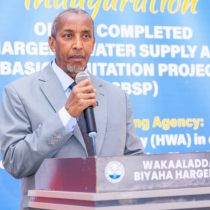 Booliska Somaliland Oo Gacanta Ku Dhigay Eedeysane Loo Haysto Dil Ka Dhacay Boorama