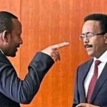 Taxanaha xikmadda Q:4aad