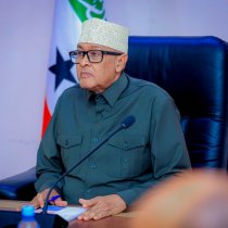 Madaxweynaha Somaliland oo Magacaabay Guddida Qaran ee Gurmadka Abaarta JSL