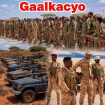 "Waa in ay isa soo dhiibaan kuwa wali leh federaalka ayaanu ka tirsanahay"Madaxweyne Deni DAAWO