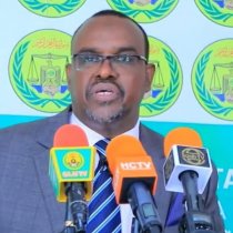 Somaliland Oo Walaac Ka Muujisay Hubka Halista Ah Iyo Cuna Qabataynta Hubka Ee Laga Qaaday Somalia DAAWO