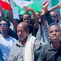 Hambalyo Guusha Shacab ka Suuriya Mohamed Aden Hassan