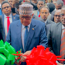 Gilgilasho Ka Dhacday Nairobi: Booqashada Madaxweynaha Somaliland oo Saamayn Diblomaasiyadeed Ka Samaysay Afrika oo Dhan.