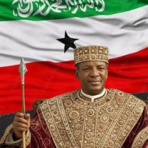 The vice president of Somaliland is the man of the year .