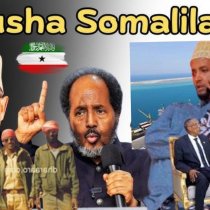 Maxay Somaliland u yimaadeen Dublamaasiyiinta Jarmalka, Ingiriiska, Denmark, Mareykanka iyo EU? DAAWO