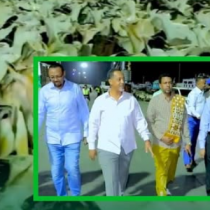 Wasiirka Maaliyadda Somaliland Oo Ka Hadlay Saameynta Dagaallada Bariga Dhexe Ku Yeesheen Dekedda Berbera