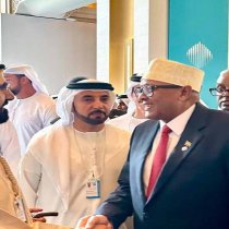UAE Hosts Somaliland President with High-Level Protocol During Working Visit