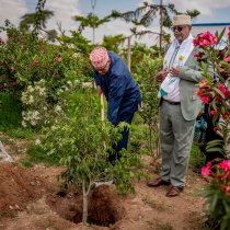 Booliska Dalka Hindiya ayaa sheegay in 204 ay ku dhinteen Shil diyaaradeed