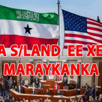 "Ganacsatooy wax ala wixii idinka horyimaada aniga ii kaalaya" Madaxweyne-ku-xigeenka Somaliland