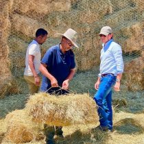 Peace Activation, And Tranquillity In Somaliland (Abdi-Shotaly).
