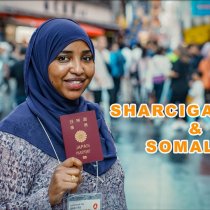 Wax badan ka Ogoow Sharciga Japan & Somalida